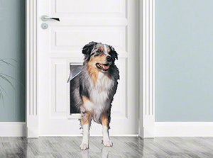 CRL Extra Large White Plastic Framed Pet Door