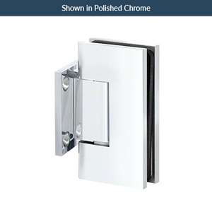 Polished Brass Wall Mount with Short Back Plate Adjustable Maxum Series Hinge