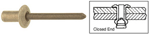 CRL 1/8" Diameter, 1/4" to 5/16" Grip Range Closed - End Rivets