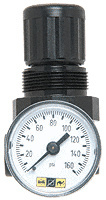 CRL Pressure Regulator and Gauge