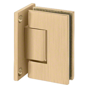 Satin Brass Wall Mount with Full Back Plate Adjustable Designer Series Hinge