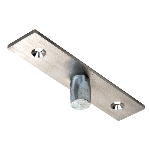 CRL Brushed Stainless Top Center-Hung Free Swing Pivot | CRL