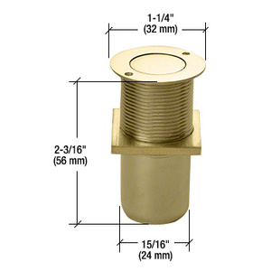 CRL Polished Brass Dust Proof Keeper