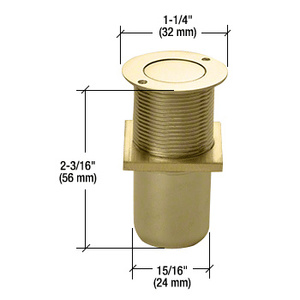 CRL Polished Brass Dust Proof Keeper