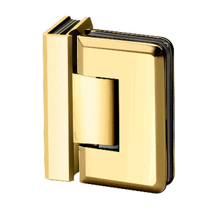 Polished Brass 90º Glass to Glass Premier Series Hinge with 5° Pin