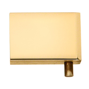 Polished Brass Cabinet/ Showcase Top And Bottom Mount Pivot Hinges