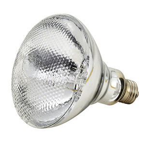 CRL Spot Bulb for Z75UVK/AUZ75UVK UV Curing Lamps