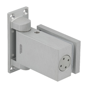 CRL Satin Anodized Vernon Oil Dynamic 8260 'All-Glass' Door Hinge - NHO