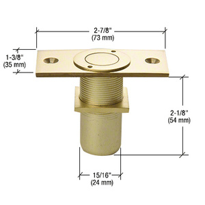 CRL Polished Brass Dust Proof Keeper Non-Locking