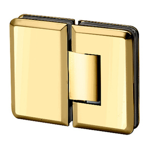 Polished Brass 180º Glass to Glass Premier Series Hinge with  5° Pin