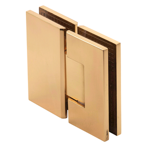 Polished Brass 180° Glass-to-Glass Adjustable Maxum Series Hinge