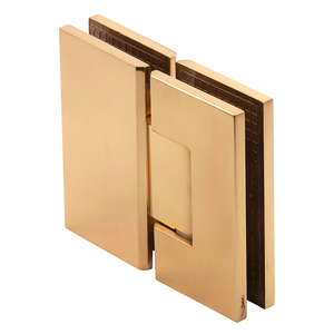 Polished Brass 180° Glass to Glass Maxum Series Hinge