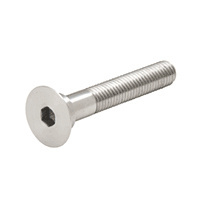 CRL 316 Brushed Stainless Steel 2-1/2" Long Bolt for RRF10BS Glass Fitting