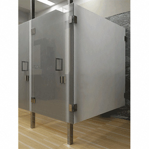 CRL Brushed Stainless Custom Frameless 'All-Glass' Restroom Partition