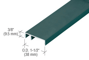 CRL 487 Custom KYNAR® Paint OfficeFront™ Face Trim - 24'-2"