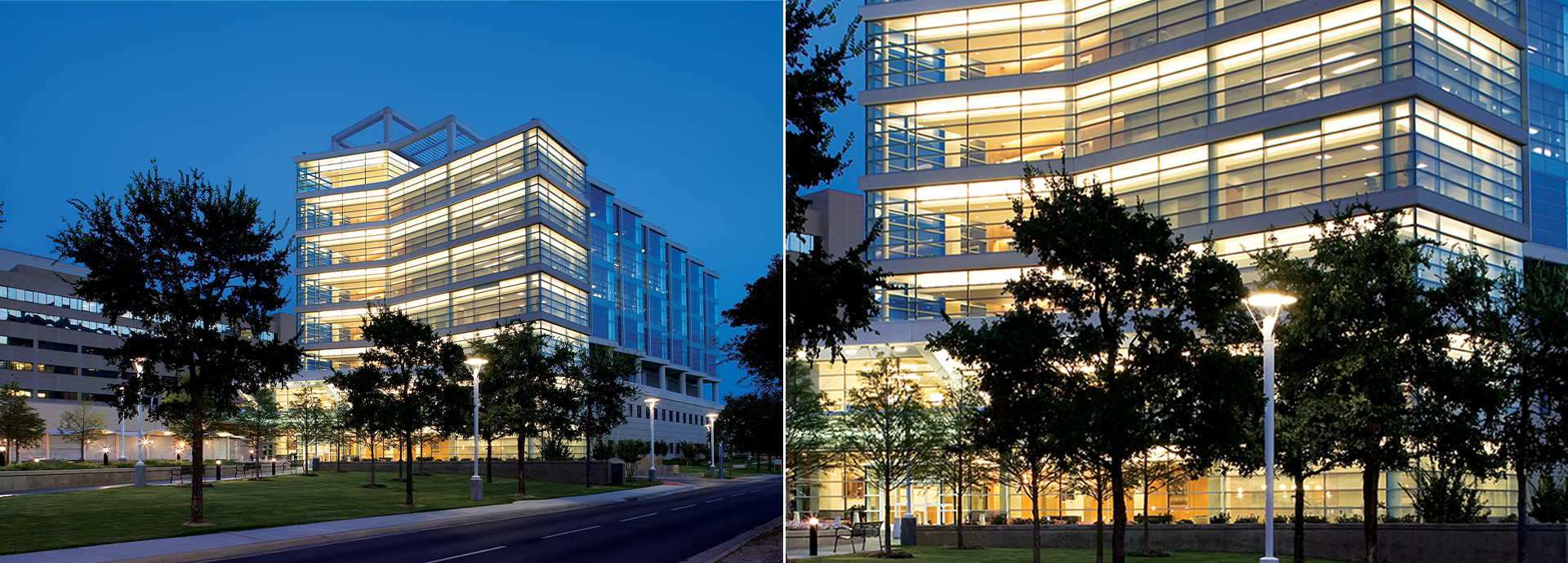University of Texas Southwestern Medical Center